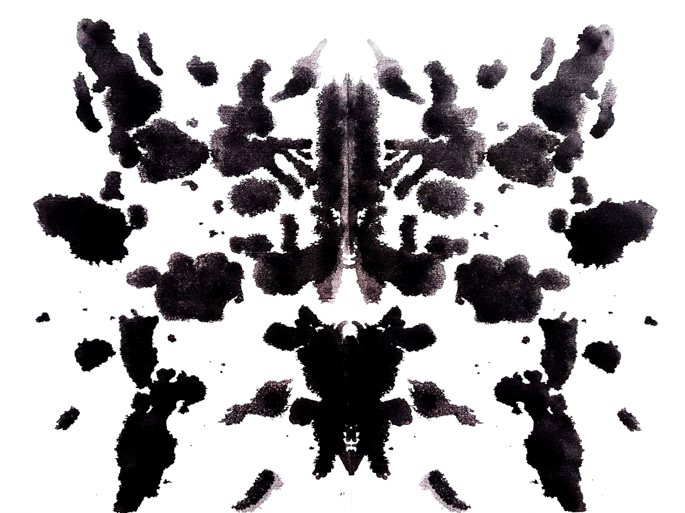 Observe closely. What do you see?