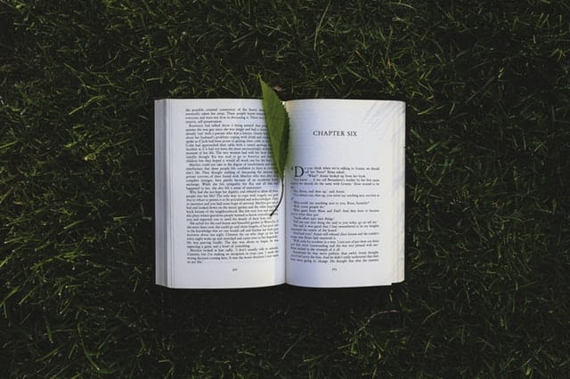 You can read people like words (Pexels)